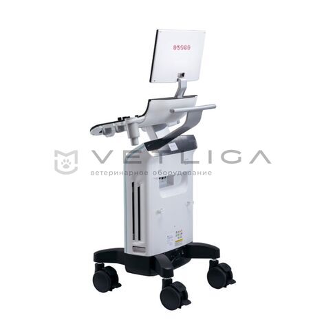 GE Versana Essential, 3