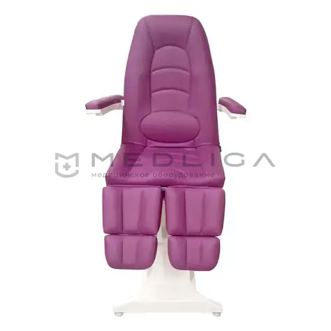 Пластэк-Техник ФП-3, Цвет обивки: Темно-сиреневый 646-1354, 2