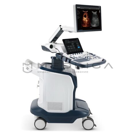 SonoScape S60, Сегмент: Частный, 2