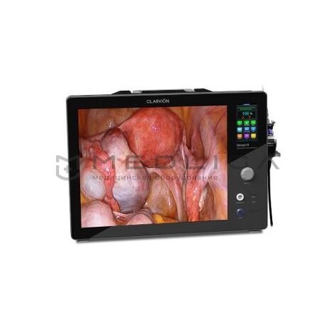 Chammed QVION 19 (Full HD)